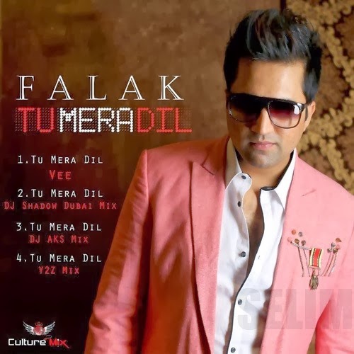 download free pakistani music mp3
